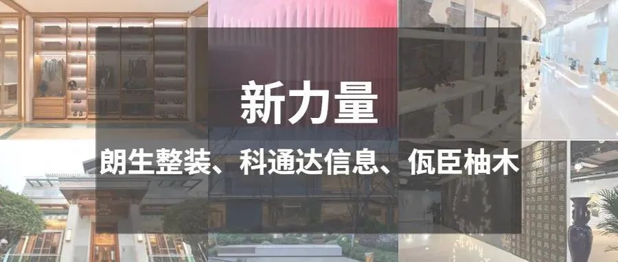 新力量 | 朗生整装、科通达信息、佤臣柚木